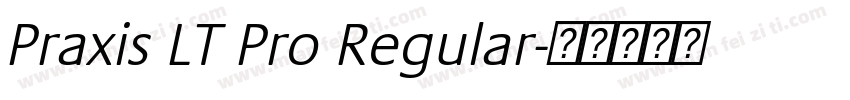 Praxis LT Pro Regular字体转换